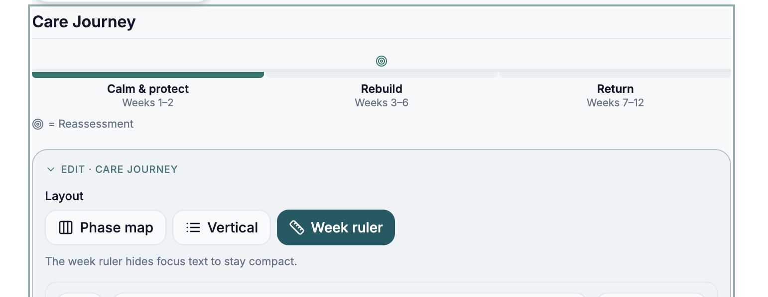 Care Journey week ruler layout shown as a progress bar